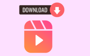 Best 5 Insta Video Downloader Websites for Free Downloads & Instagram Story Viewing